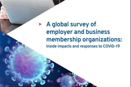 微信圖片_20200819123239 微信圖片_20200819123239