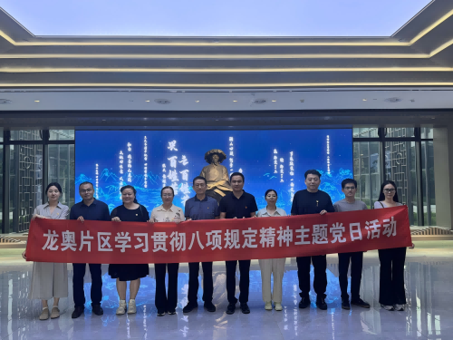 龍奧片區(qū)黨建工作機(jī)構(gòu)組織召開黨建工作指導(dǎo)員見面會暨深入貫徹中央八項(xiàng)規(guī)定精神學(xué)習(xí)教育主題黨日活動